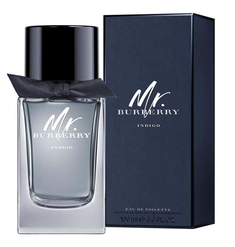 burberry for men referencias|burberry cologne for men.